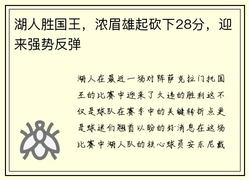 湖人胜国王，浓眉雄起砍下28分，迎来强势反弹