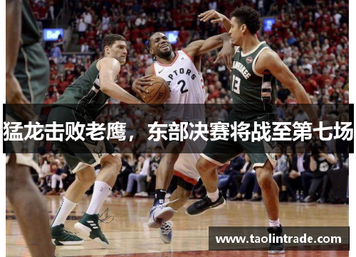猛龙击败老鹰，东部决赛将战至第七场
