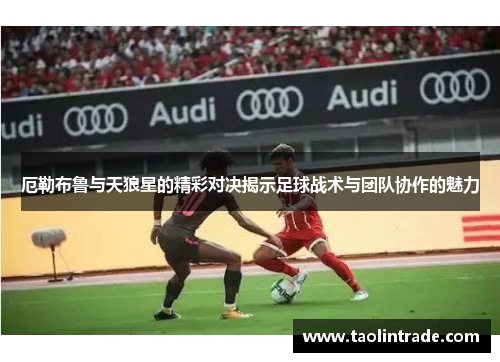 厄勒布鲁与天狼星的精彩对决揭示足球战术与团队协作的魅力