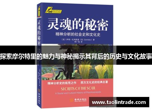 探索摩尔特里的魅力与神秘揭示其背后的历史与文化故事