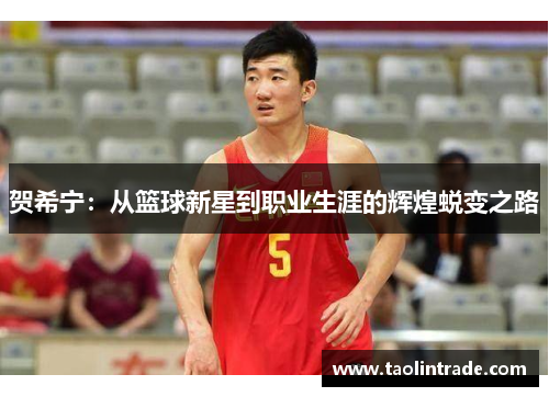 贺希宁：从篮球新星到职业生涯的辉煌蜕变之路
